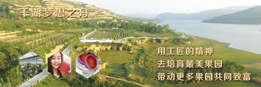 千湖梦想之舟128(高)-390